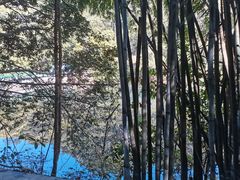 -桂山风景旅游区