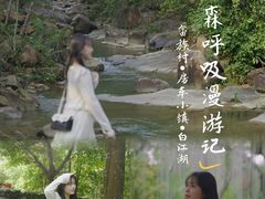 -广州白江湖森林公园