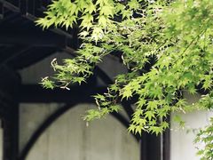 -沧浪亭