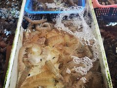 -南沙十九涌渔人码头-南门