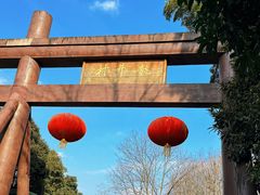 -十八棵（老龙井）御茶园(老龙井店)