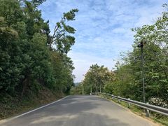 -青龙山国家森林公园