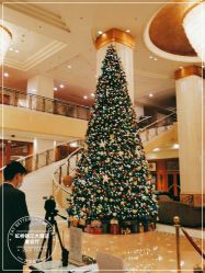 -上海虹桥锦江大酒店·宴会厅