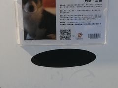 -龟与熊猫宠物公园(南坪店)