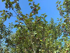 -野鸭湖国家湿地公园