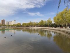 -莲花池公园