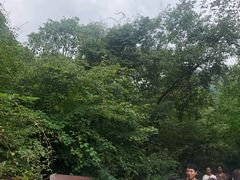 -青峰峡国家森林公园