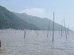 -北岐滩涂