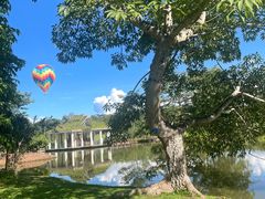-中国科学院西双版纳热带植物园