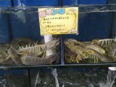 -蚝专家(北滘店)