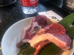 锡盟羊排-九田家黑牛烤肉料理(珠江摩尔店)