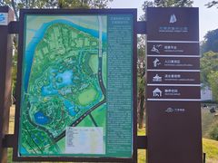-王借岗森林公园