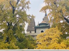 -北京石刻艺术博物馆(五塔寺)