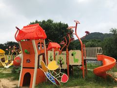 -白马涧龙池景区