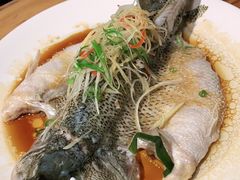 -YAFEE雅菲·粤菜·湘菜·融合菜(魏公村店)