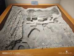 -洛阳周王城天子驾六博物馆