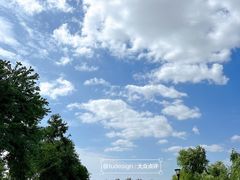 -上海山野camping·户外天幕烧烤·团建拓展营地