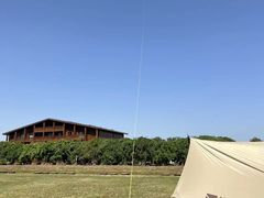 -池杉湖湿地公园