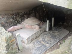 -上海佘山国家森林公园天马山园