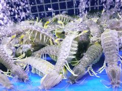 -徐记海鲜(大明宫|北二环店)