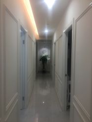 -紫御国际抗衰ZOE ANTI AGING
