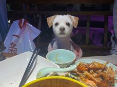 -韵秋荷(宝山龙湖天街店)
