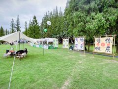 -黄海国家森林公园