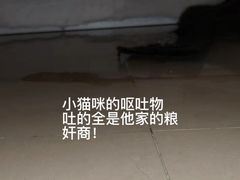 -唐小姐の猫狗洗护·购宠旗舰店(周浦万达店)