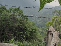 -杭州半山国家森林公园