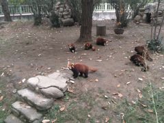 -西安秦岭野生动物园