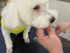 -暖阳宠物医院·犬猫康复中心·骨科
