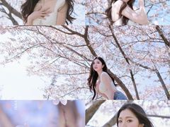 -高东镇樱花园