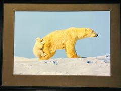 -罗红摄影艺术馆