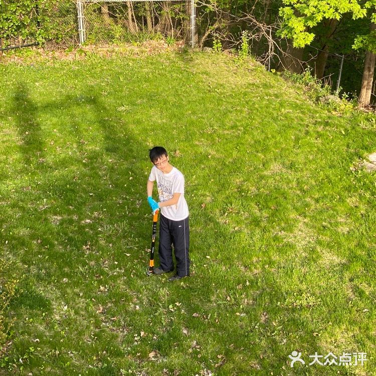 无论是厨娘酒娘还是花姑娘，也算开发出了咱的各种潜能