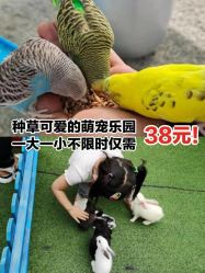 -萌宠亲子动物乐园(槐房万达店)