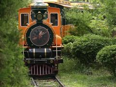 -合肥滨湖国家森林公园