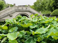 -丝绸小镇荻港古村
