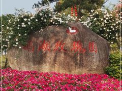 -鹅湖玫瑰文化园