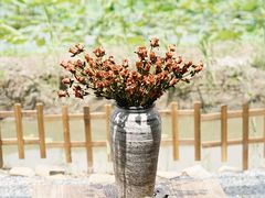 -梁鸿国家湿地公园