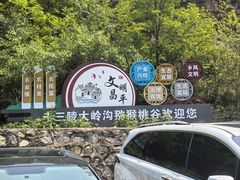 -大岭沟猕猴桃谷风景区