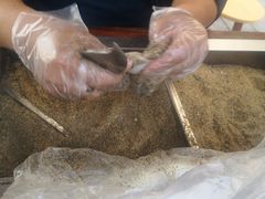 -叶氏麻糍(鼓浪屿店)