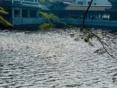-荔湾湖公园