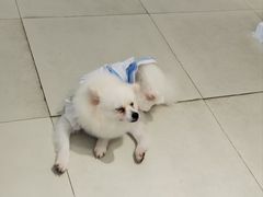 -怪兽屋·羊驼·猫咖·狗咖(俊华广场店)