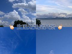 -深圳湾公园(南山区)
