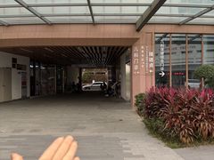 -中山大学附属第五医院