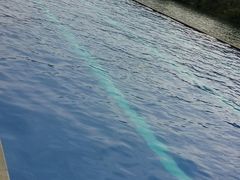 -水底山庄园温泉