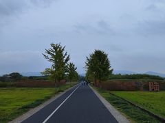 -良渚古城遗址公园