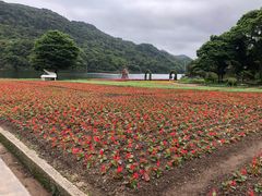 -广州市石门国家森林公园