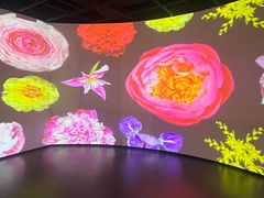 -四川大学博物馆