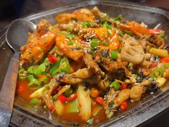 -蛙来哒(万豪城市广场黑金冠店)